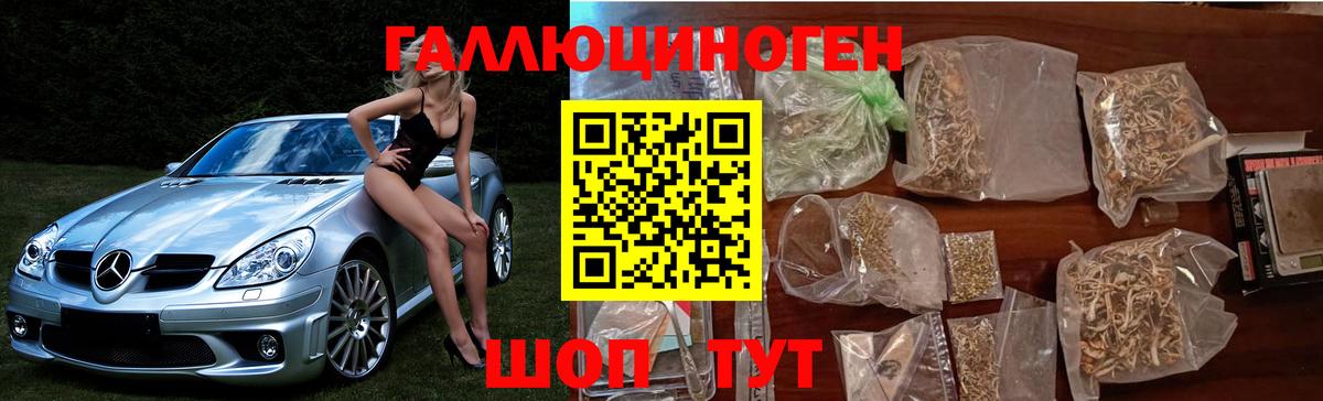 Похвистнево  Галлюциногенные грибы MAGIC MUSHROOMS  Вход с VPN 